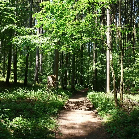 Landguet Ried - Center For Mindful Living * Koniz