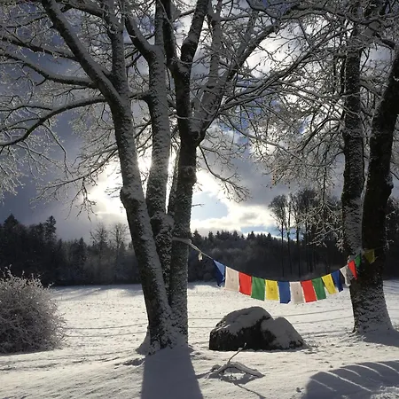 Landguet Ried - Center For Mindful Living *