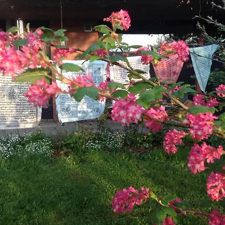 Inn Landguet Ried - Center For Mindful Living *